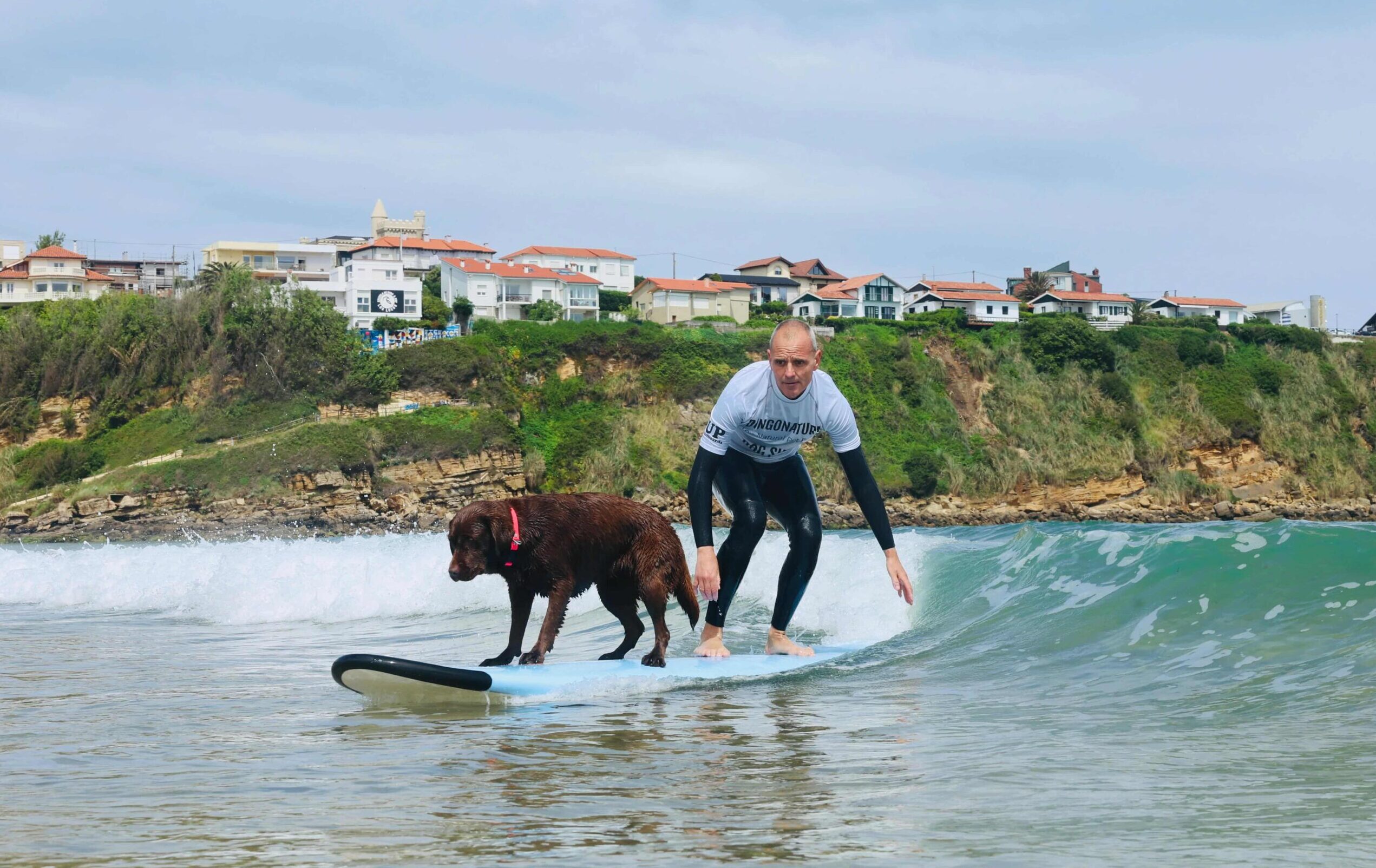 ¿Surf con perros?...¡Todo es posible! Foto: Gorka Ezkurdia